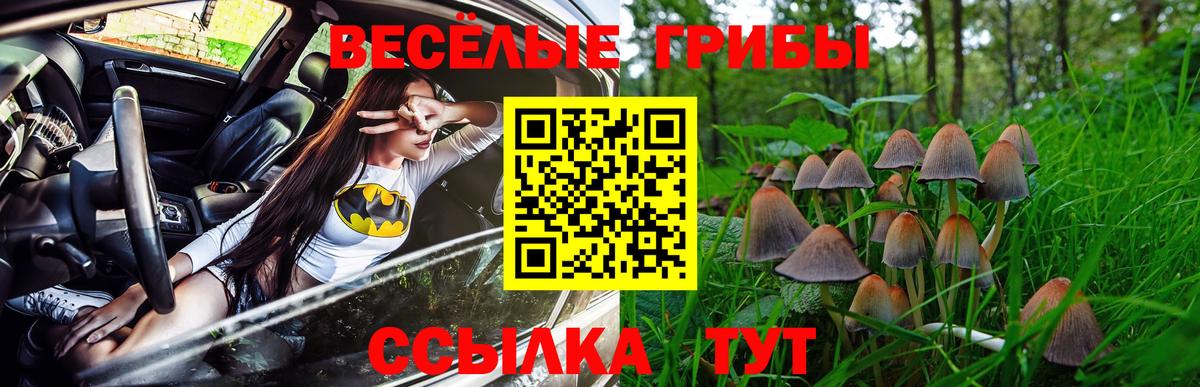 Галлюциногенные грибы ЛСД  Псилоцибиновые грибы Magic Shrooms  Шадринск  Вход с VPN 