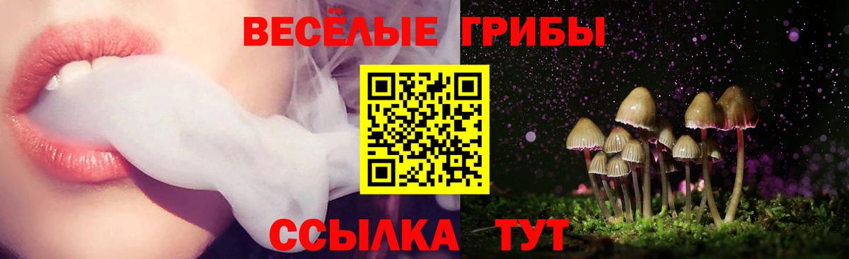 Псилоцибиновые грибы мицелий Шадринск